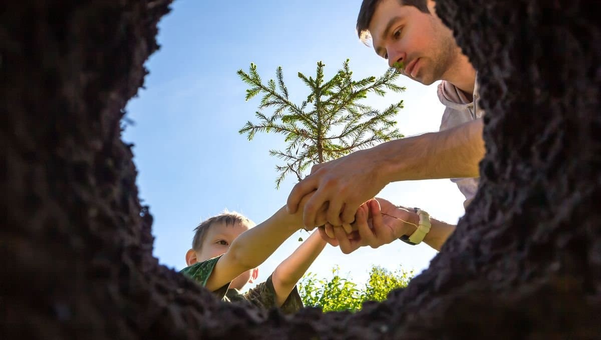 Un milliard d’arbres : un engagement ambitieux mais mal engagé