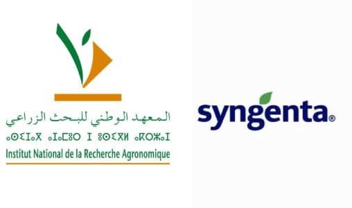 INRA et Syngenta : Résultats d’un partenariat agricole