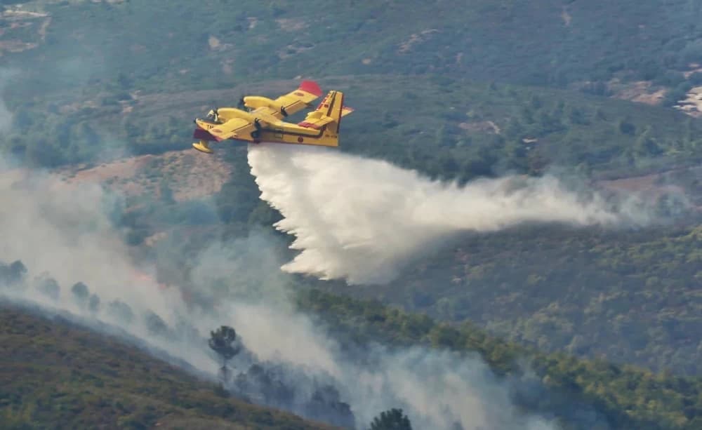 Province de Tétouan : l’incendie de la forêt d’Ain Lahcen maîtrisé
