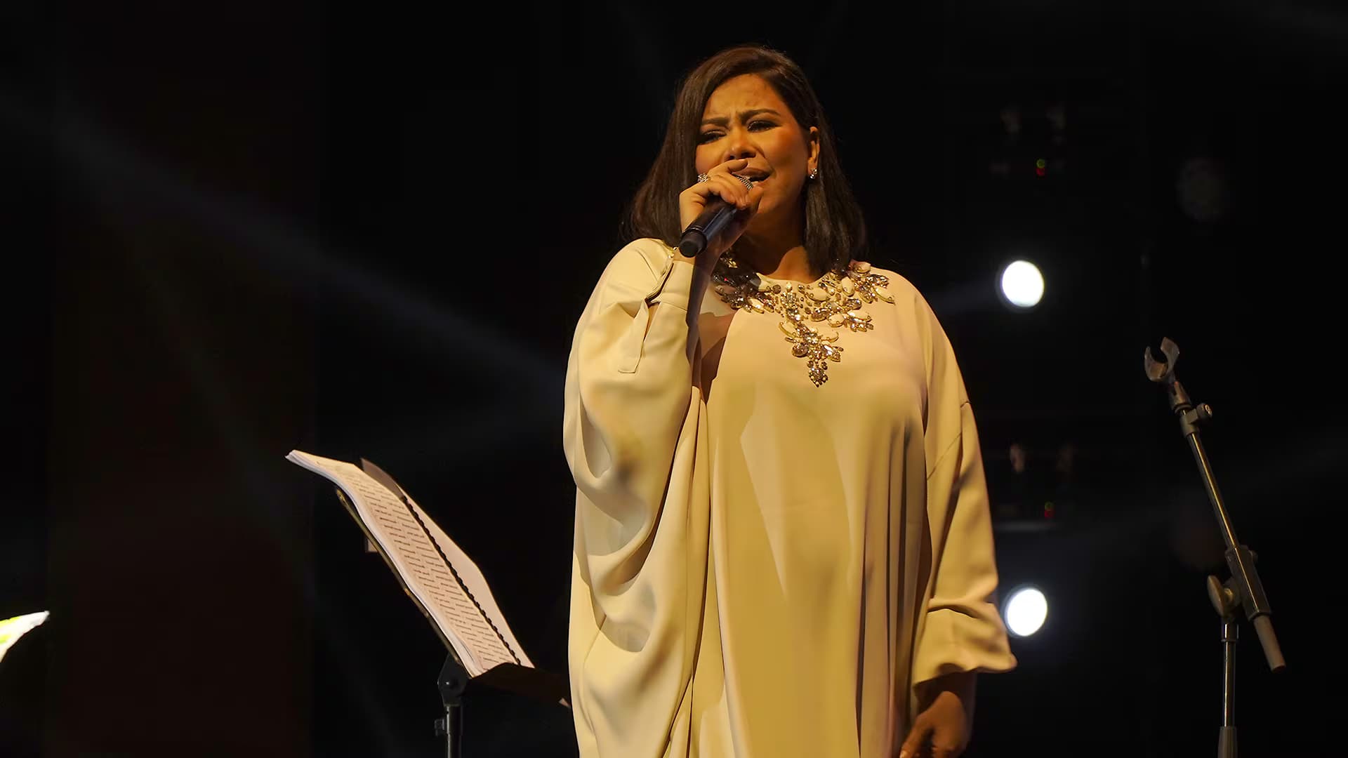 Sherine en playback, Mawazine sous le feu des critiques