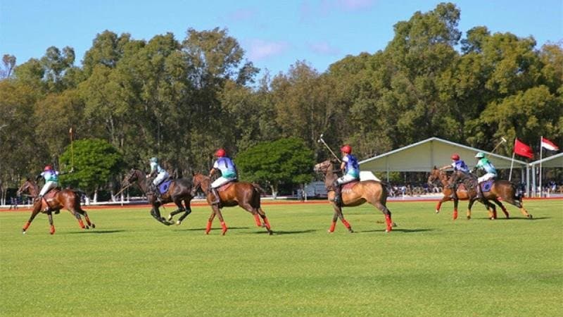 La Coupe du Trône de Polo démarre le 21 juillet