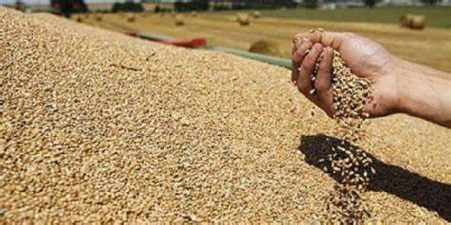 Le Maroc importe du blé kazakh pour la première fois