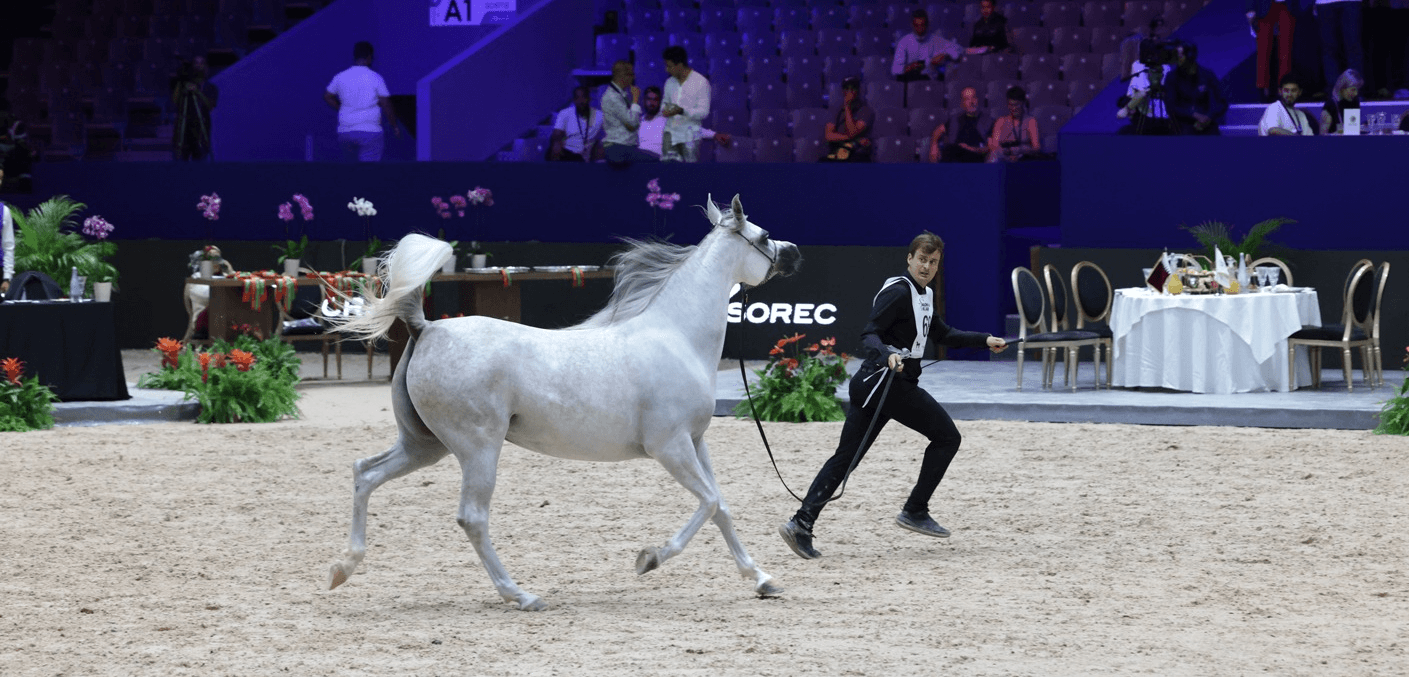 Édition 2025 du Salon du Cheval: cap sur le bien-être équin