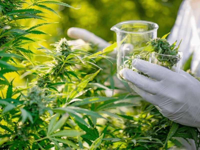 Beldiya Plus° prescrit pour la première fois en Afrique du Sud