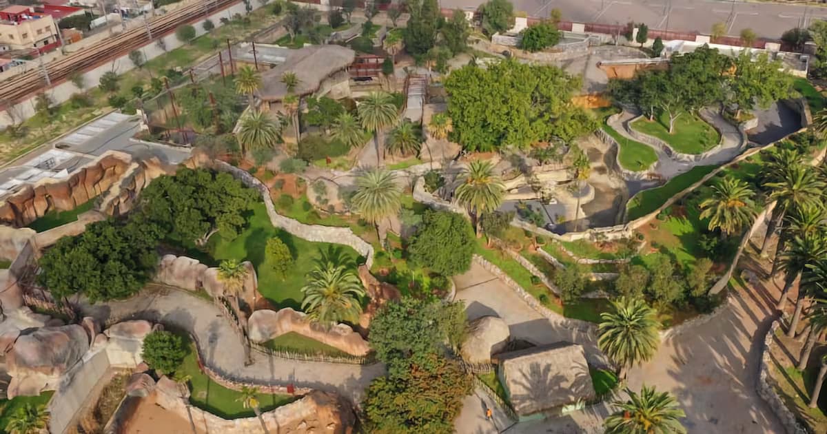 Le zoo d’Aïn Sebaâ ouvre enfin ses portes avec des tarifs révisés