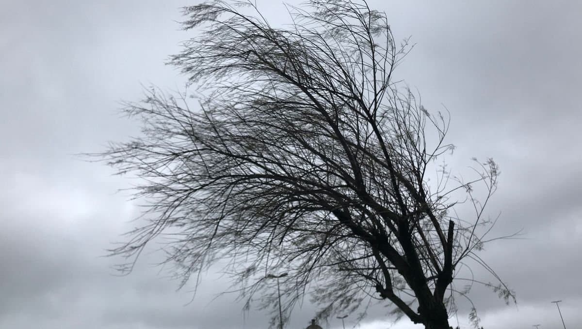Météo: Coup de froid et vents forts attendus