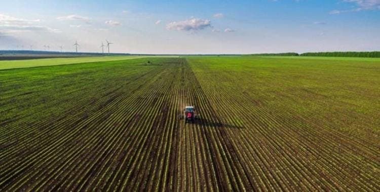 Agriculture: Saison prometteuse à El Jadida