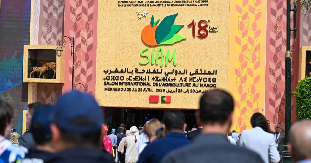 SIAM 2026: Meknès clôture une édition record