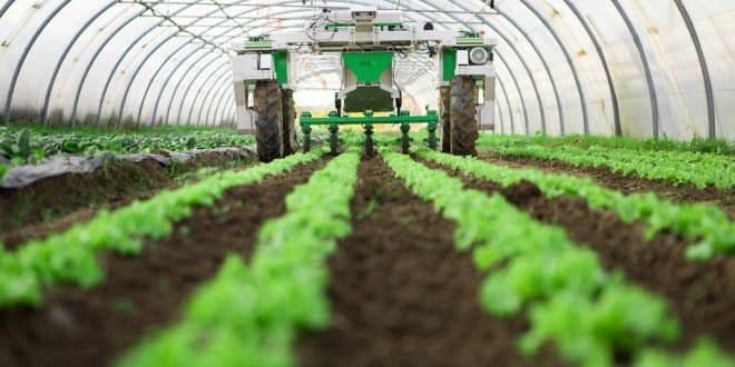 Agriculture: Le Maroc poursuit sa montée en puissance