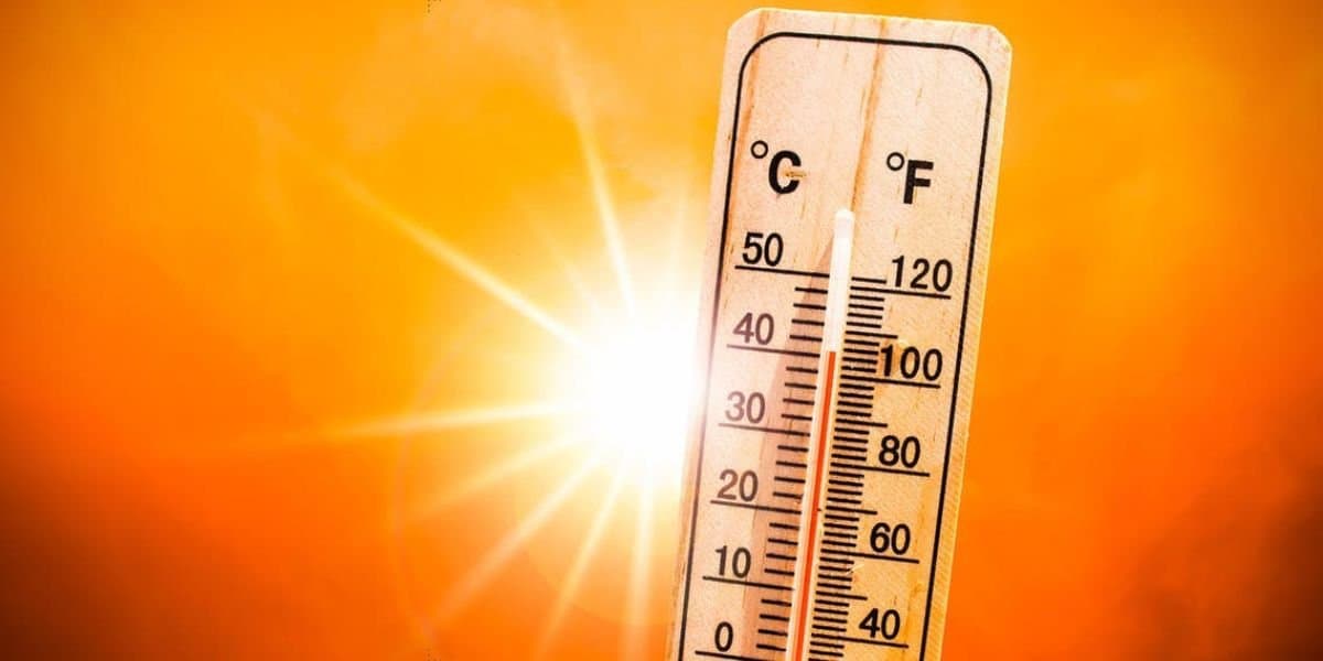 Météo: Pic de chaleur attendu en fin de semaine