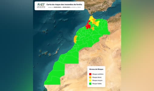 Forêts: Plusieurs zones à risque au Maroc