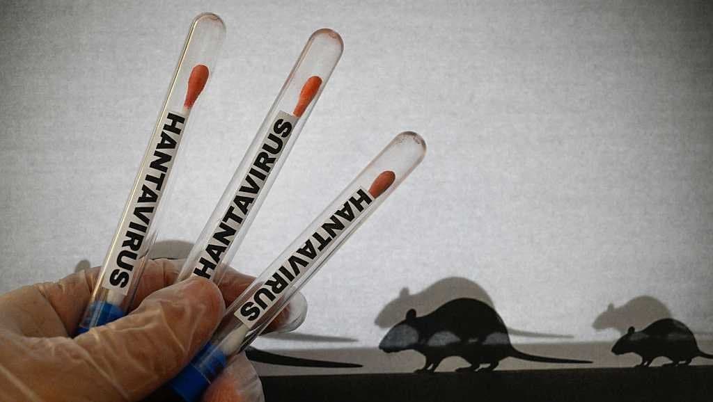 Hantavirus: Le Maroc appelle au calme