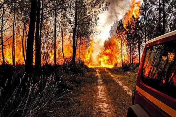 Vague de chaleur: Risque élevé de feux de forêt au nord