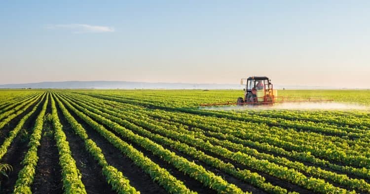 Agriculture: Le gouvernement met en avant ses résultats