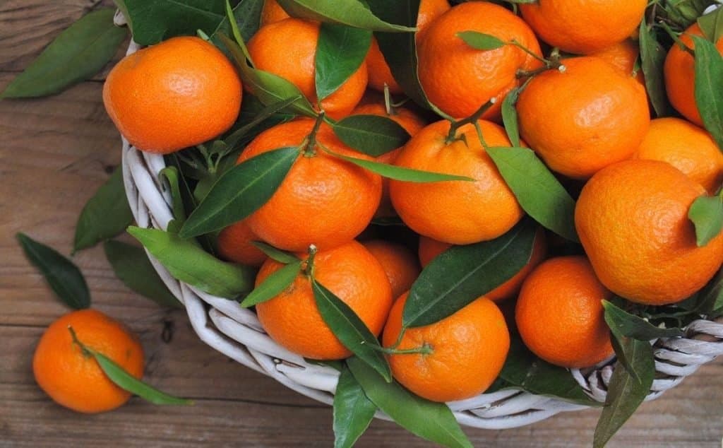 Mandarines: Le Maroc dépasse 50% du marché britannique