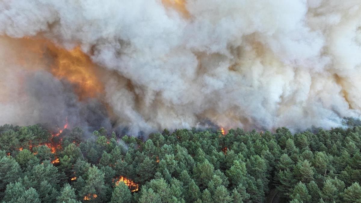 Le poumon vert de Paris en feu: Près de 1 000 hectares ravagés