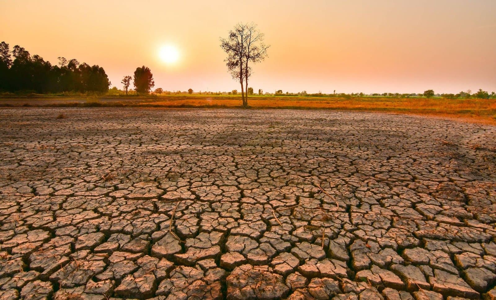 El Niño se renforce: L’ONU alerte sur des phénomènes extrêmes