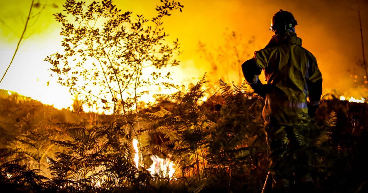 Incendies de forêt: 2.150 hectares ravagés depuis janvier