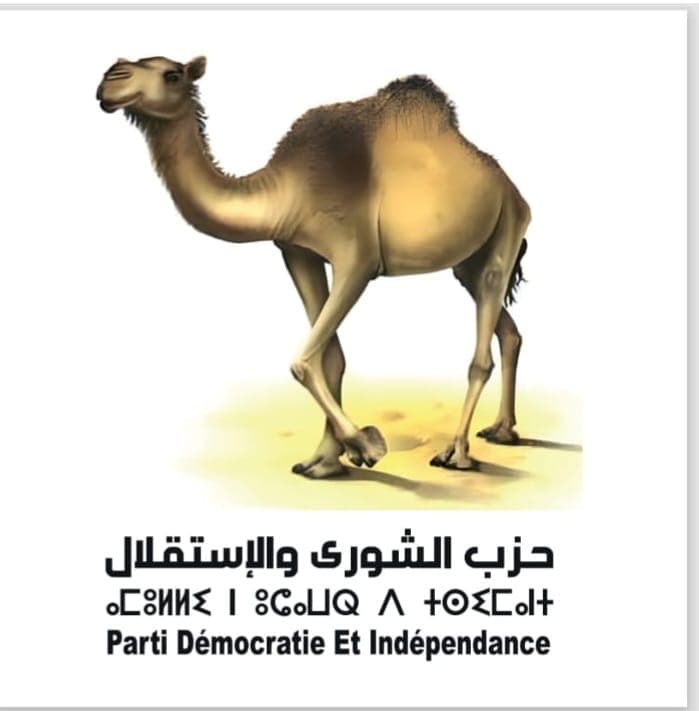Législatives 2026 : Hassna Farhane investie à Marrakech-Safi
