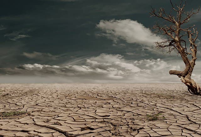« Super El Niño » : Jusqu’à 451.000 décès liés à la chaleur redoutés