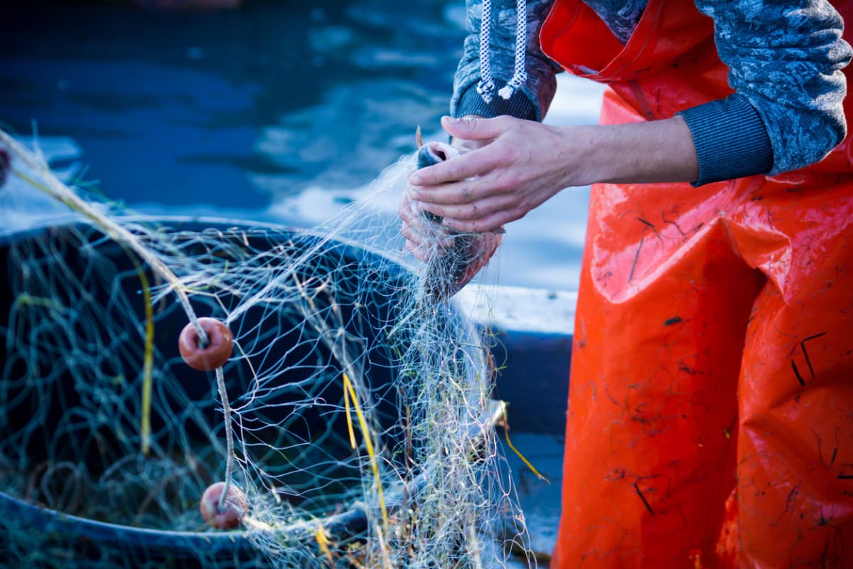 L’Europe mise sur une pêche plus durable à l’horizon 2040