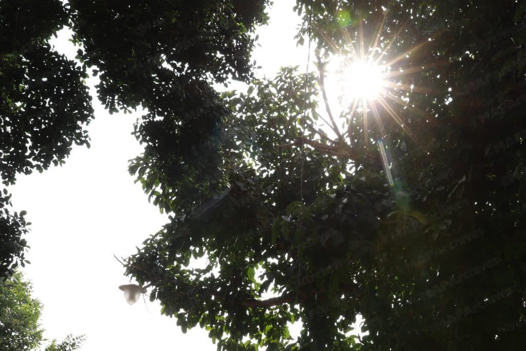 Météo : Les prévisions pour lundi 21 septembre 2026