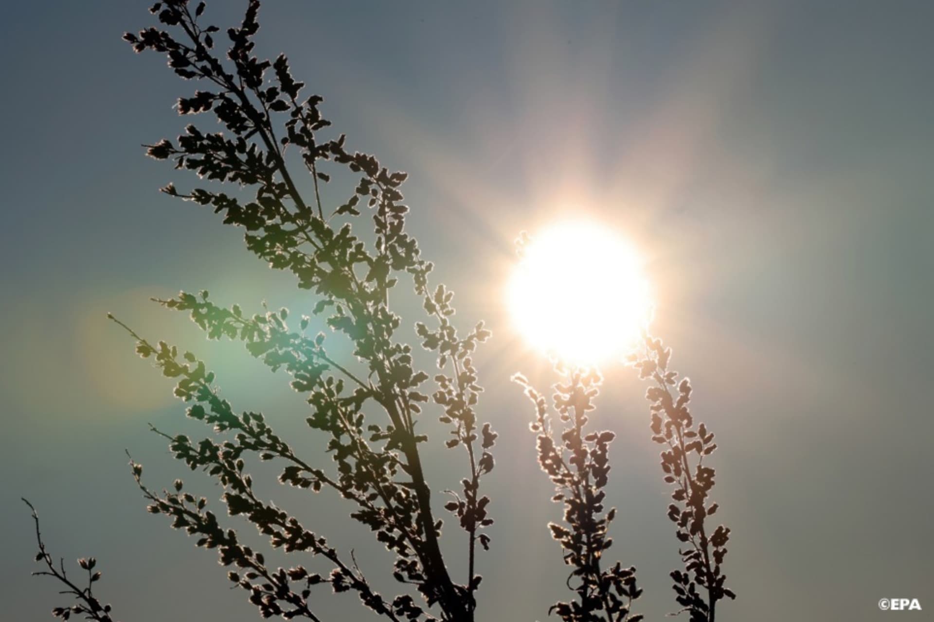 Météo : Chaleur, orages et vents forts attendus ce lundi