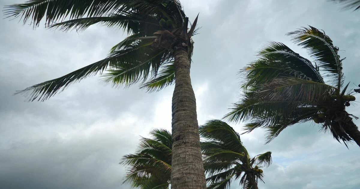 Alerte météo : Orages et fortes rafales ce mardi