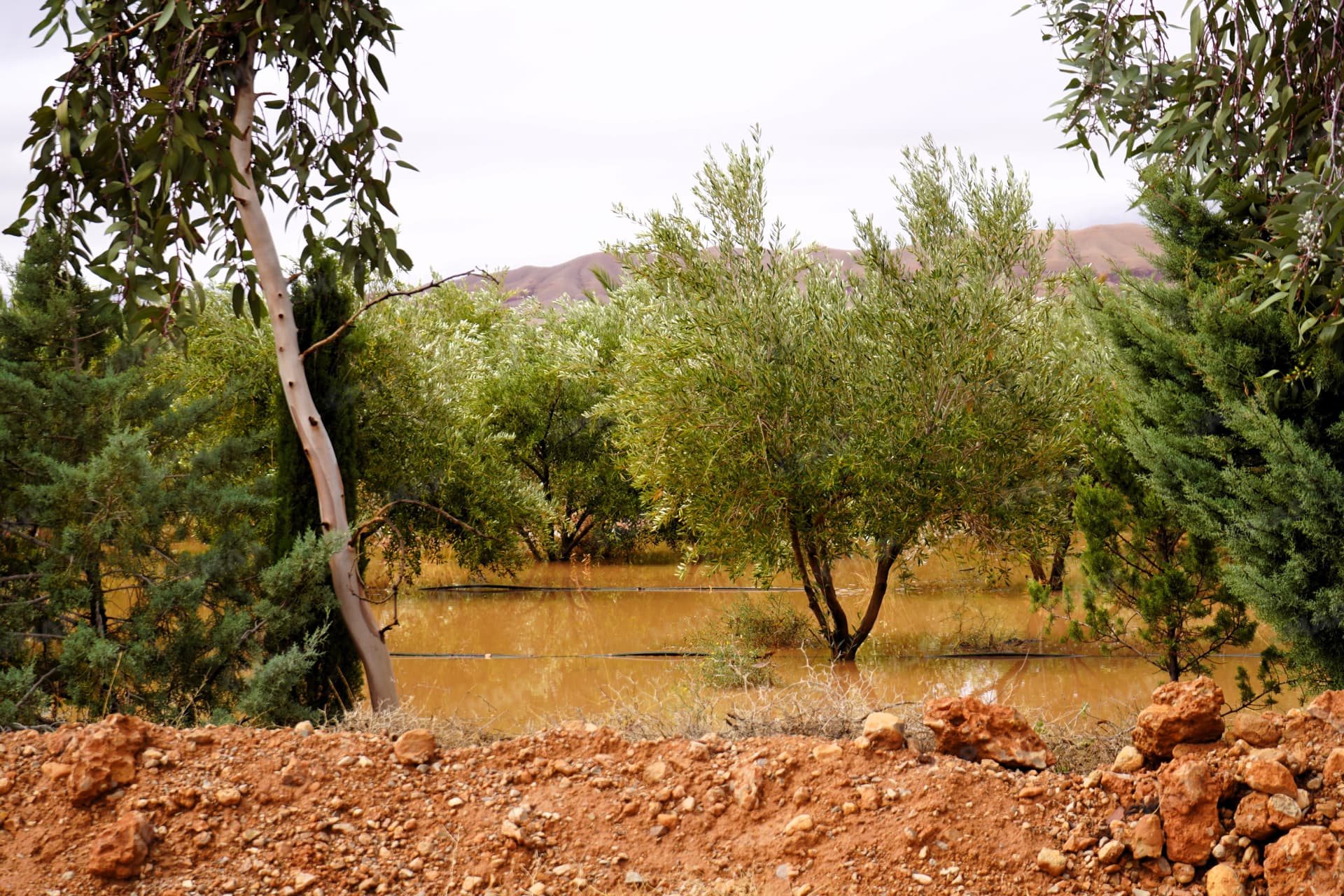 Drâa-Tafilalet : Les pluies renforcent les réserves en eau