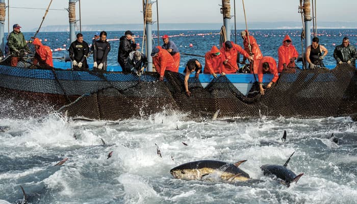 Pêche maritime : La hausse du gasoil pèse sur les professionnels du Nord