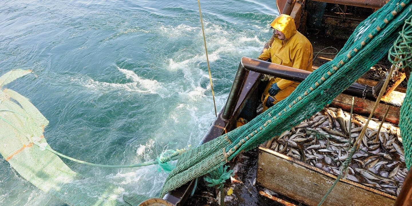 Pêche à Laâyoune: Les débarquements bondissent de 36 % à fin août