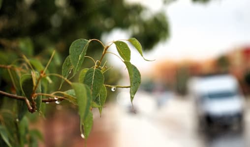 Météo au Maroc : Des pluies orageuses attendues jusqu’à minuit