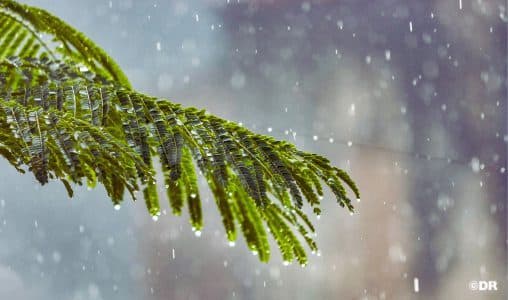 Météo : Orages, grêle et fortes rafales attendus
