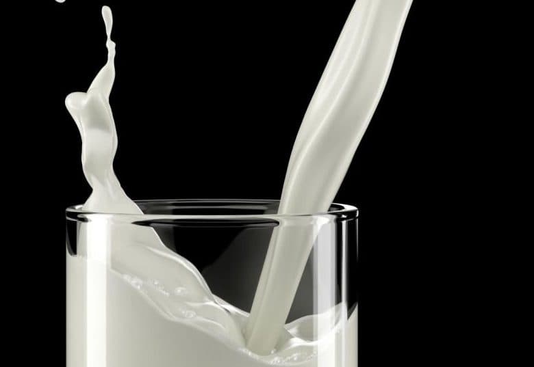 Une vache a produit plus de 53 000 litres de lait au cours de sa vie !