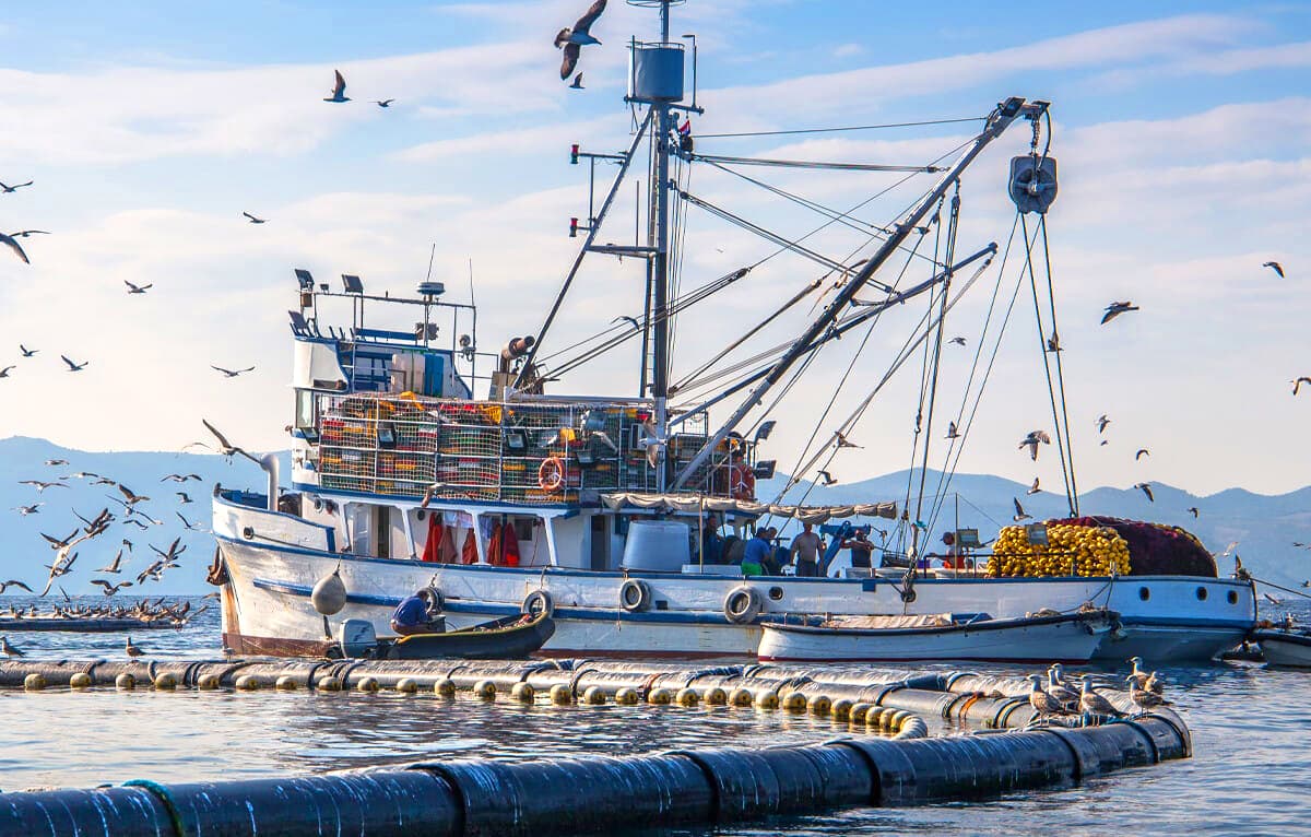 Expiration de l'accord de pêche Maroc-UE: La pression passe du côté des Européens