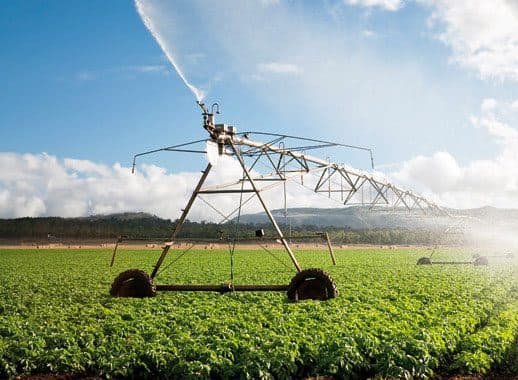 Agriculture: Ghana tire profit de l’expérience marocaine