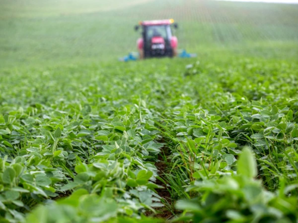 Agriculture : le programme exceptionnel permettra une bonne préparation de la prochaine campagne
