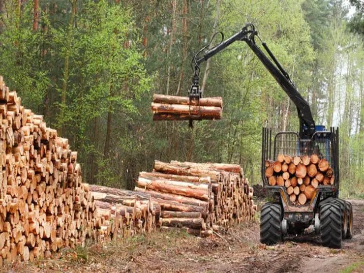 Le ministère de l'Agriculture vise à réduire l'épuisement du bois de chauffage et à encourager son utilisation durable