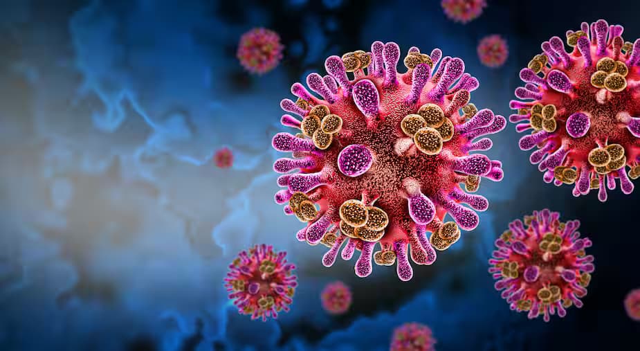 Virus Nipah: Pourquoi l’Inde est en alerte ?