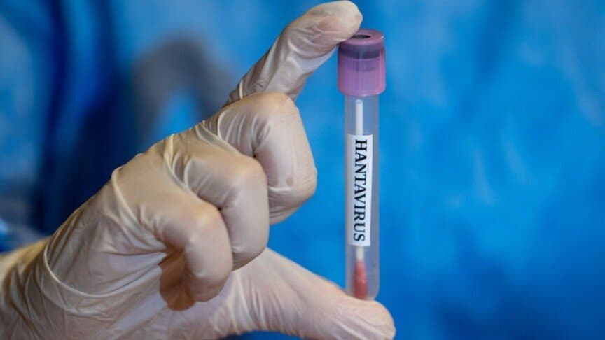 Hantavirus: Un premier cas confirmé en France