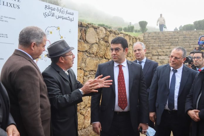 WhatsApp Image 2022-03-12 at 16.28.29