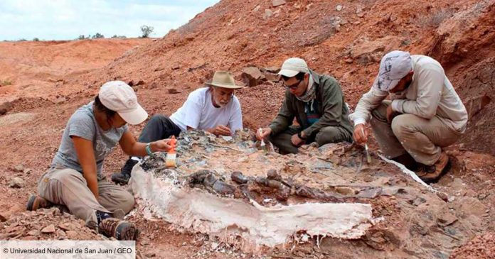 un-cimetiere-de-fossiles-vieux-de-220-millions-dannees-decouvert-en-argentine