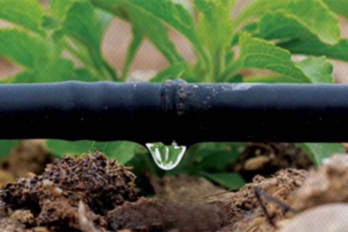 drip-irrigation1