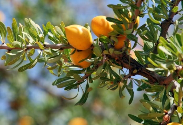 shutterstock_211586350