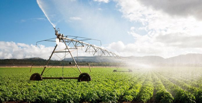 Agriculture-Maroc-irrigation