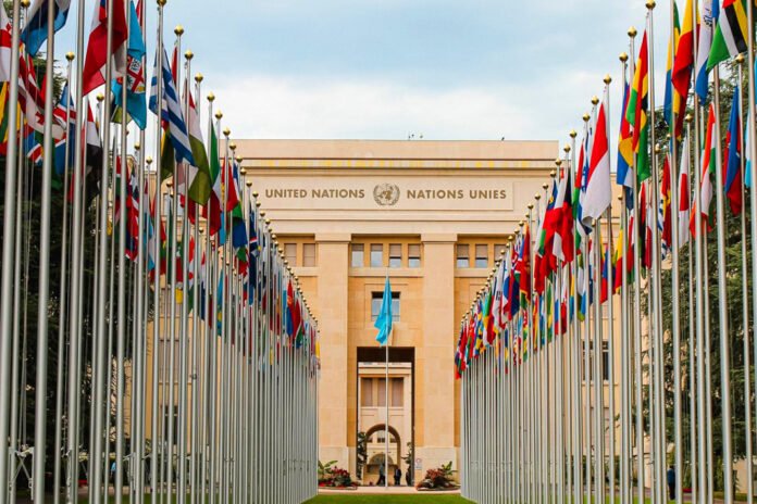 Le Conseil des droits de l'Homme des Nations Unies 1