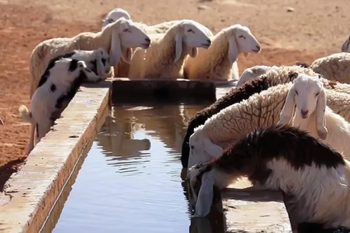 3ثش-1715171124 (1)