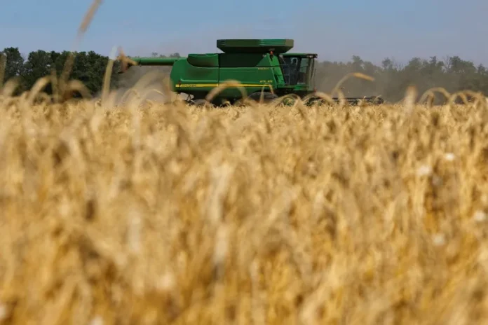 File-18034-1694113678