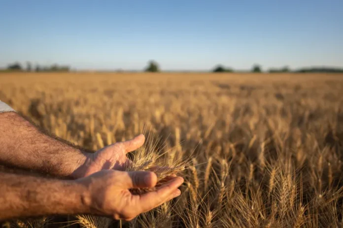 GettyImages-1319116995-1718189806