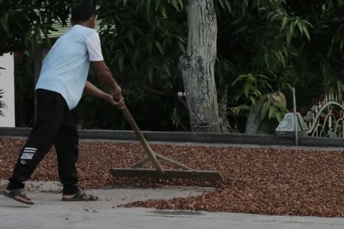 c1ed8742-9a8d-45b0-b7b4-a393c8ef5fd8